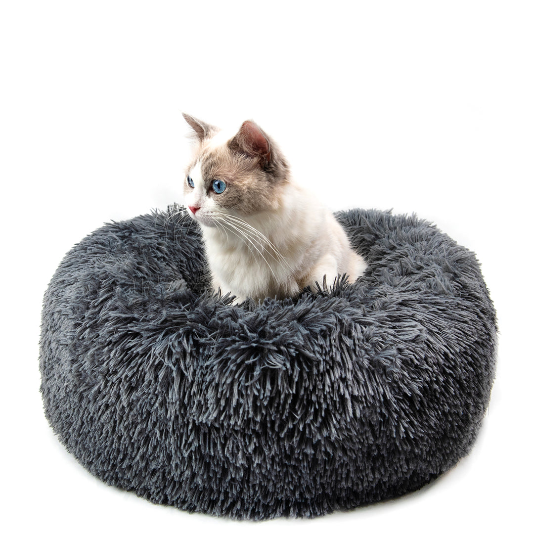 Cat sitting on a fluffy gray pet bed against a white background