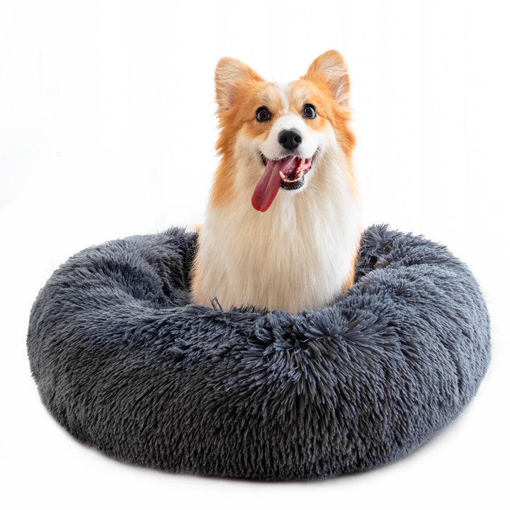 Dog sitting on a fluffy gray pet bed with a white background