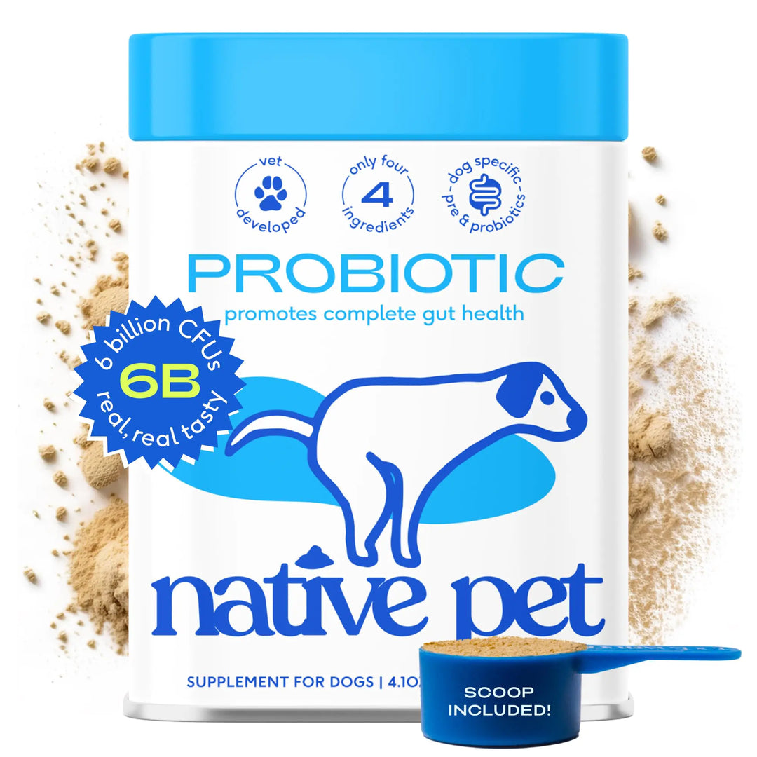 Probiotic supplement for dogs by Native Pet with a scoop on a white background