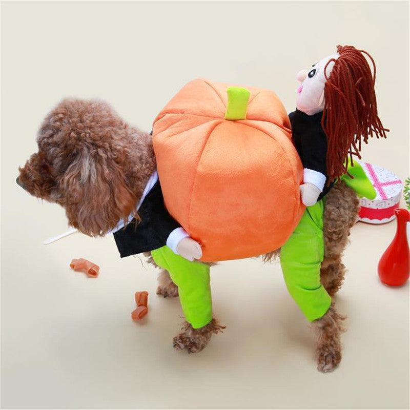 Dog wearing a Halloween-themed pumpkin costume with a person's head on a neutral background
