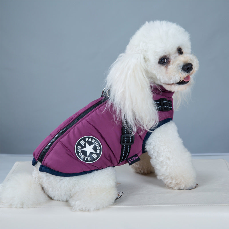 White dog wearing a purple jacket with a brand logo on a gray background