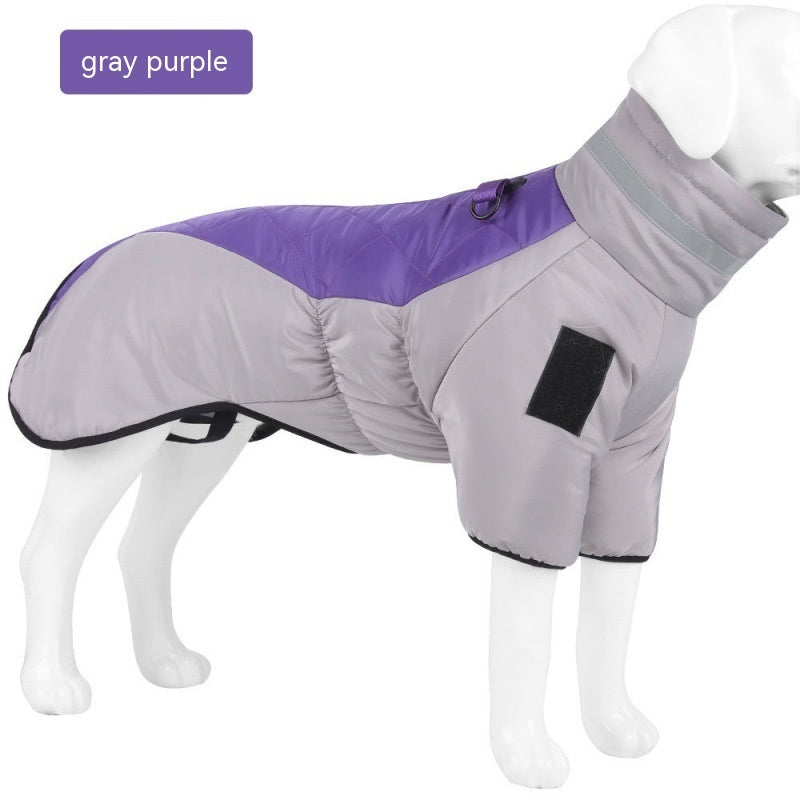 Gray and purple dog coat on a mannequin with 'gray purple' label.