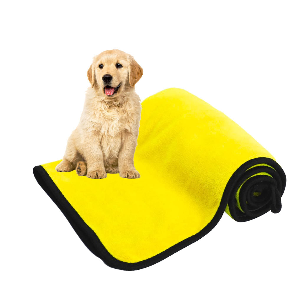Dog sitting on a yellow rolled-up mat with a white background