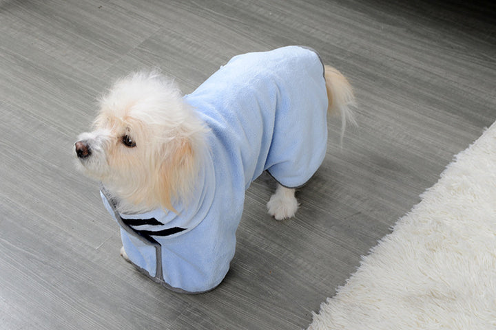 Small dog wearing a light blue bathrobe on a gray floor.