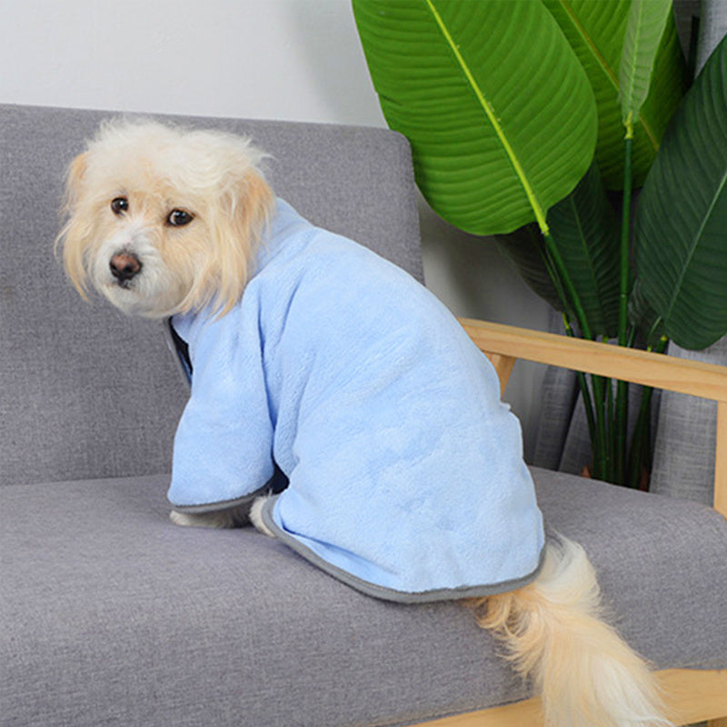 Dog wearing a blue robe sitting on a gray couch with a plant in the background