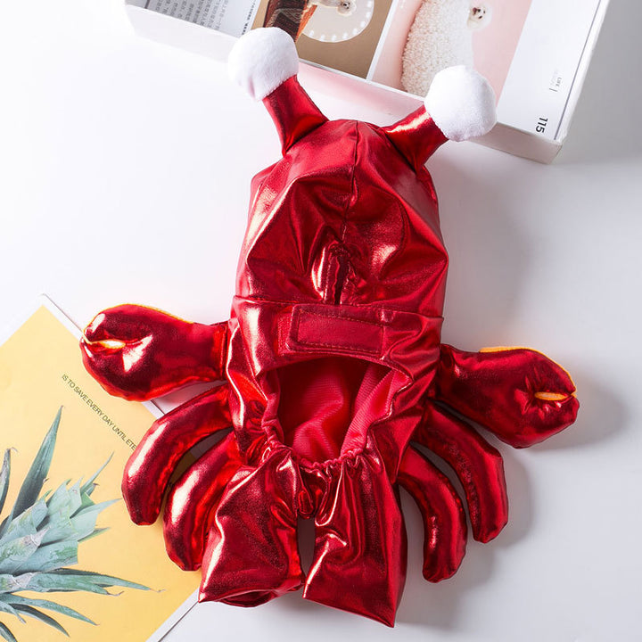 Red lobster-shaped inflatable product on a white surface with books and a plant in the background