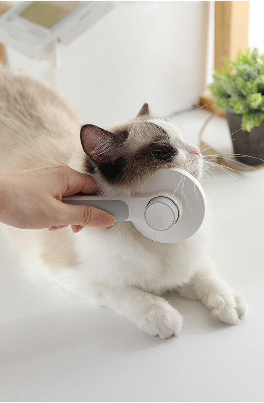 Person using a laser pointer on a cat in a home setting