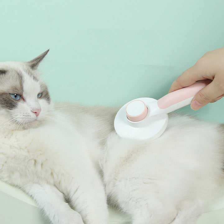 Cat being groomed with a pet grooming brush on a light green background