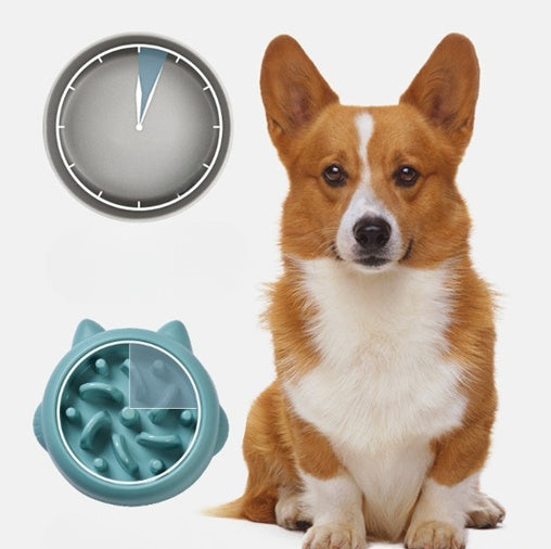 Dog with a teal Slow Feeder Dog Bowl and a clock on a white background