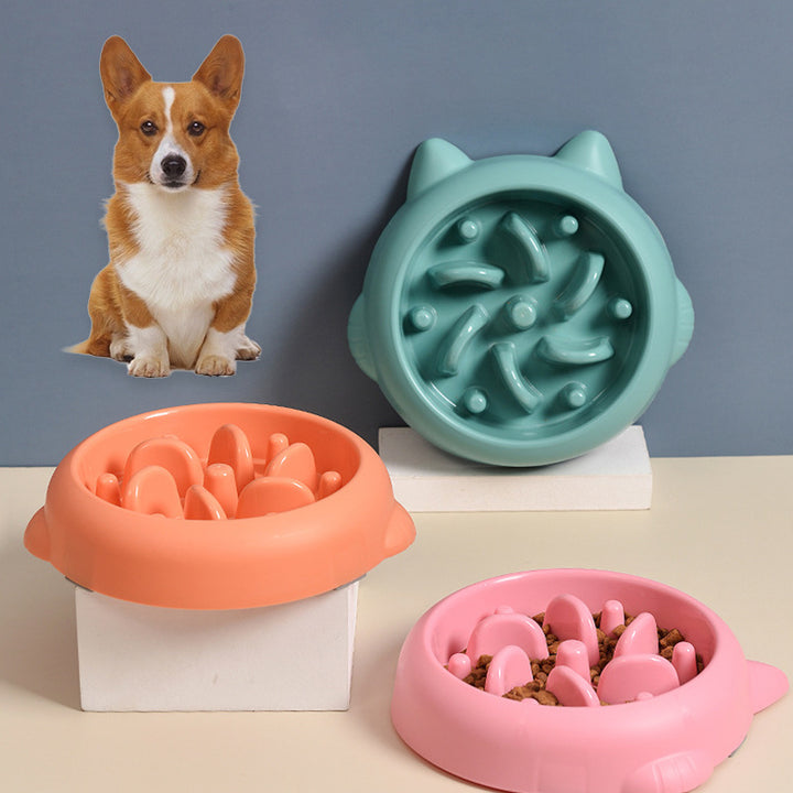 Three colorful dog bowls with a corgi in the background