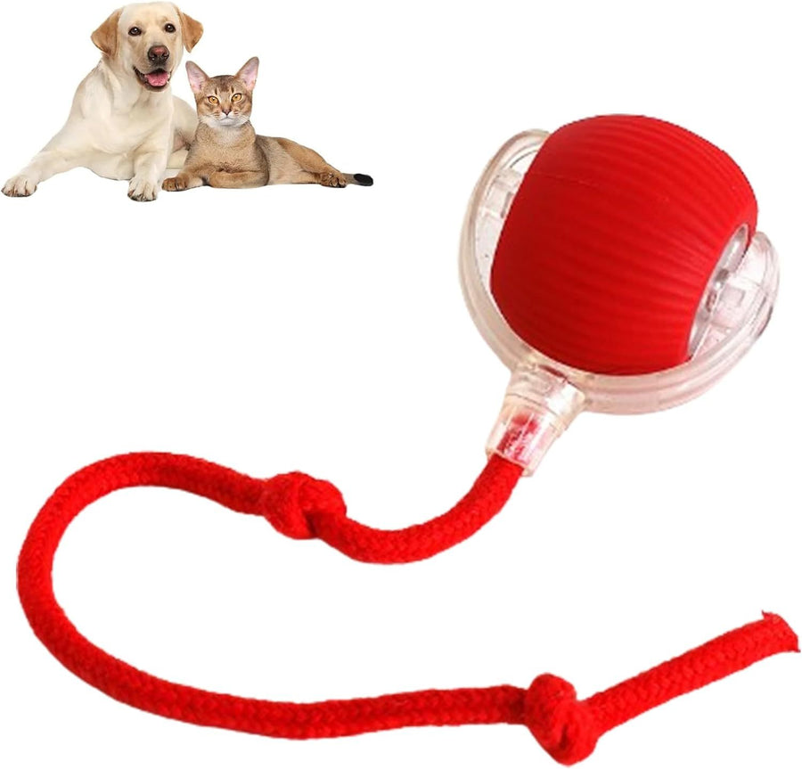 Red pet toy with a rope and ball, suitable for dogs and cats, on a white background.
