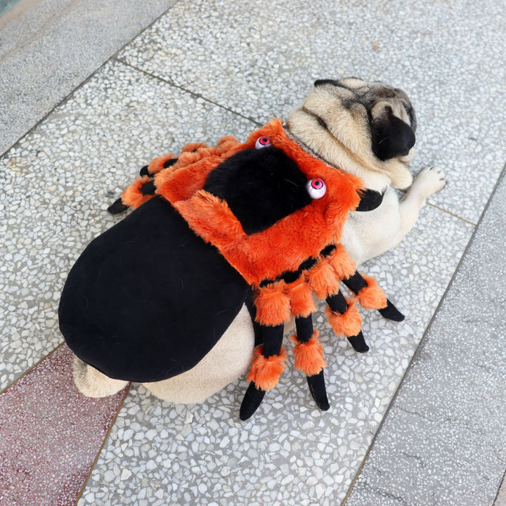 Dog wearing a spider costume on a textured pavement