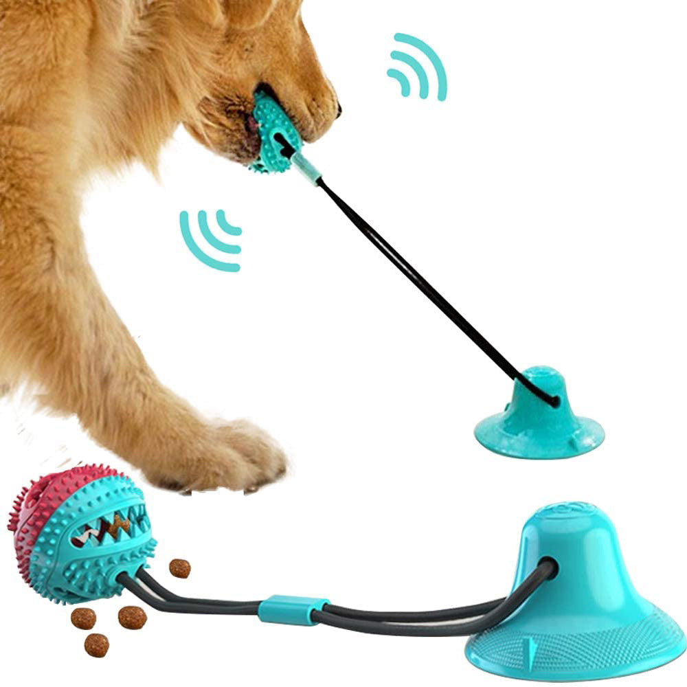 Dog playing with a blue Suction Cup Tug Toy on a white background.