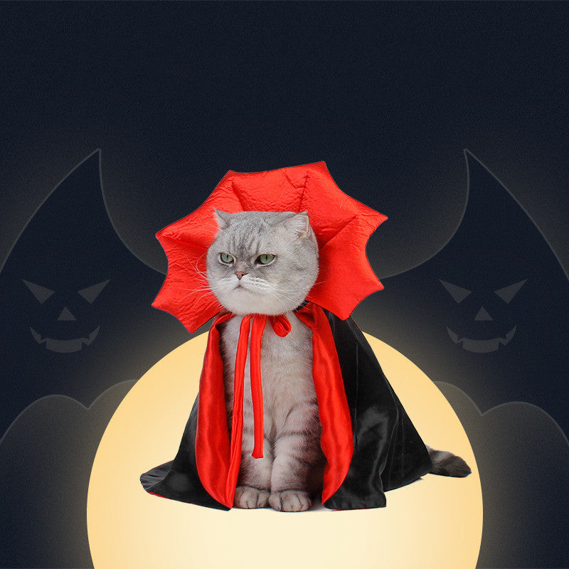 Cat wearing a red cape and black robe with Halloween-themed background