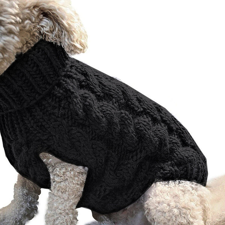 Dog wearing a black cable knit sweater on a white background