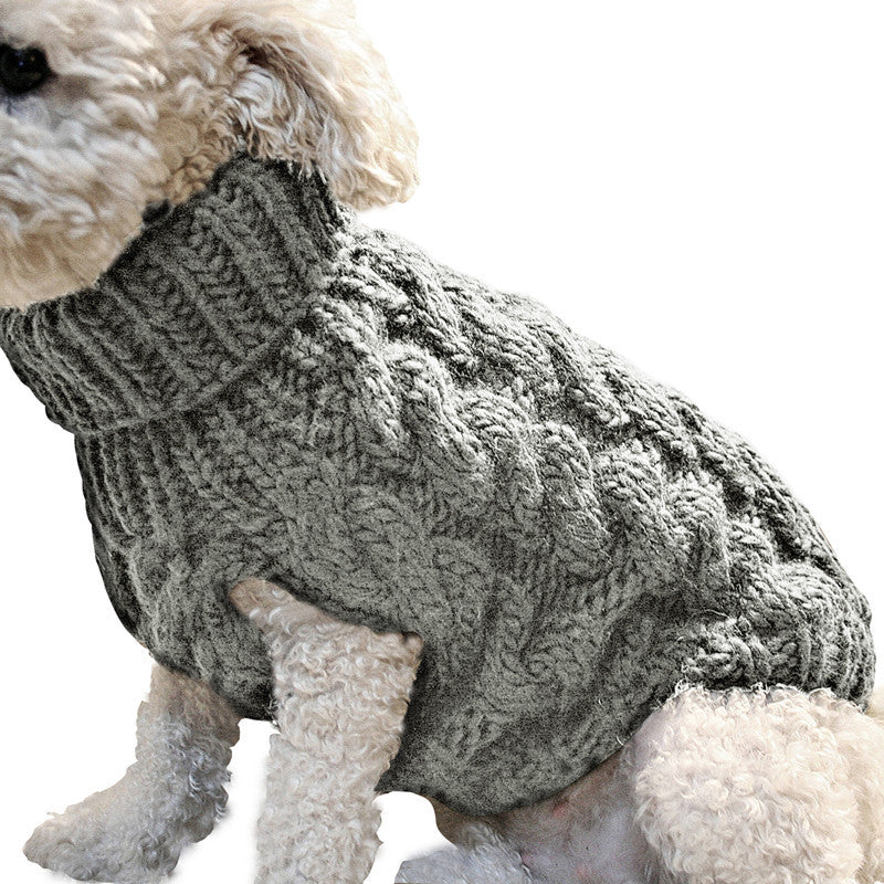 Dog wearing a gray knitted sweater on a white background