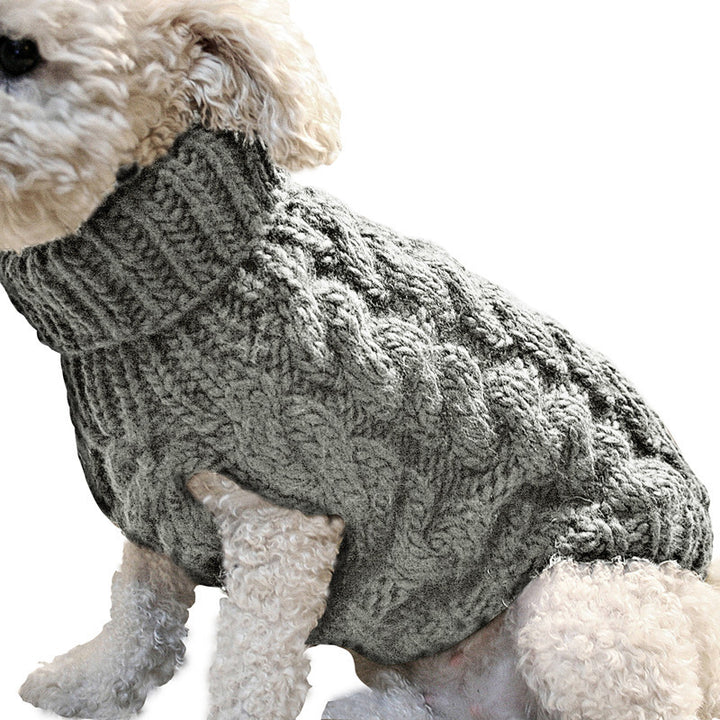 Dog wearing a gray knitted sweater on a white background