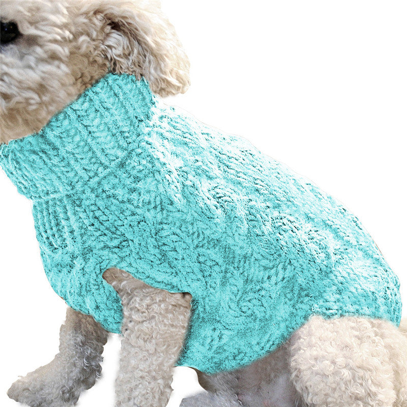 Dog wearing a turquoise knitted sweater on a white background