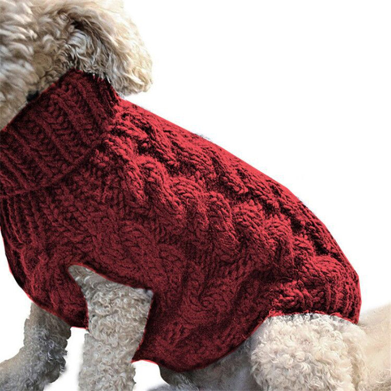Dog wearing a red knitted sweater on a white background