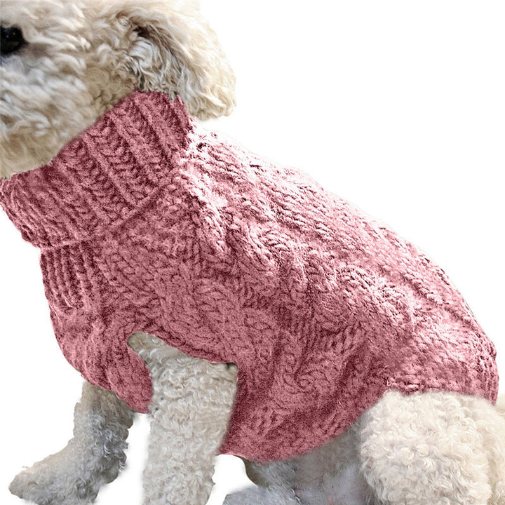 Dog wearing a pink knitted sweater on a white background