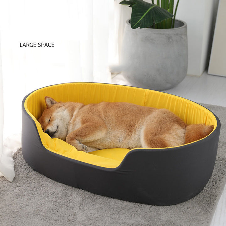 Dog lying in a large black and yellow pet bed with a plant in the background.