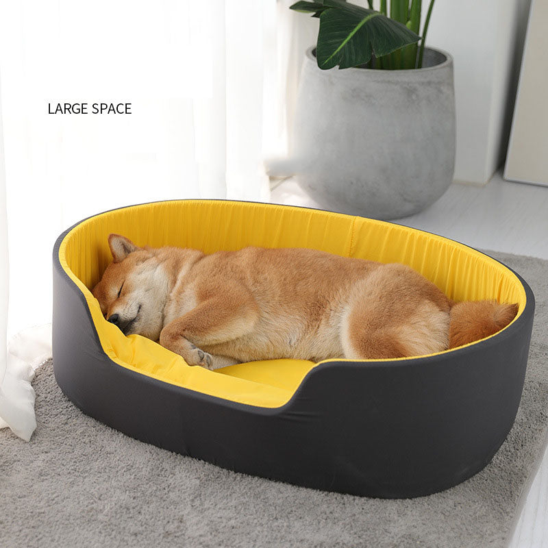 Dog lying in a large black and yellow pet bed with a plant in the background.