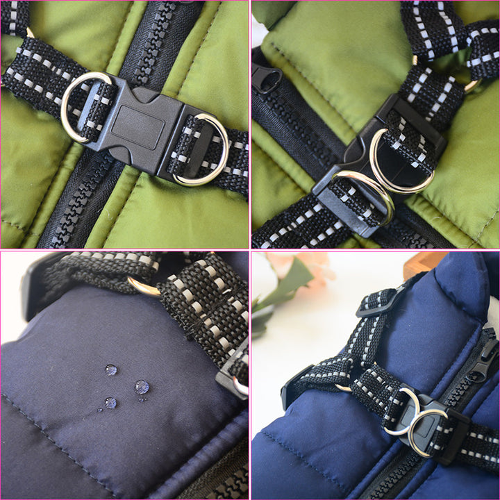 Collage of close-up images of harnesses on green, blue, and purple backgrounds.