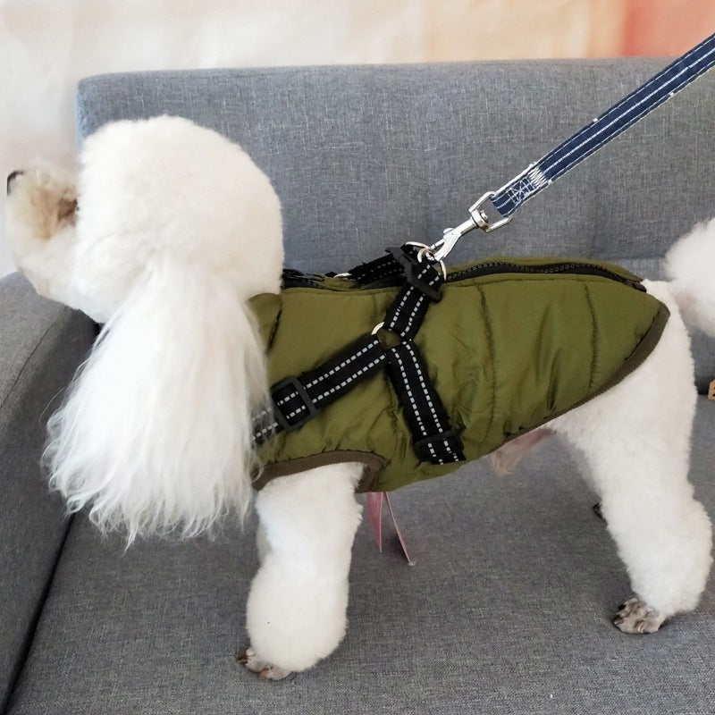 Small white dog wearing a green puffer vest on a gray couch