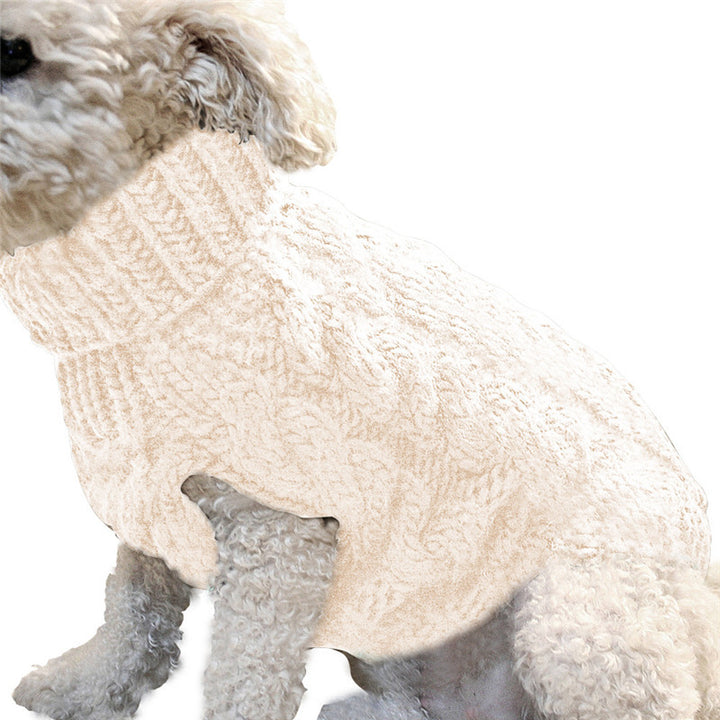 White dog wearing a beige knitted sweater on a white background