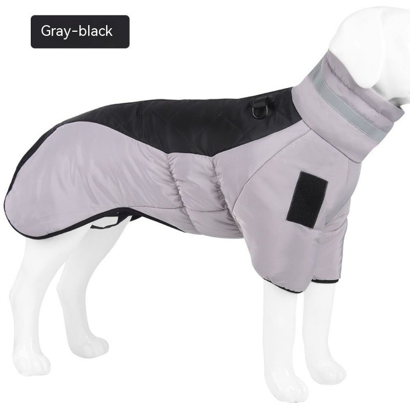 Dog wearing a gray and black winter coat on a white background