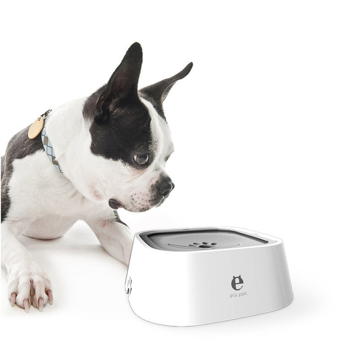 Dog looking at a modern pet water bowl on a white background