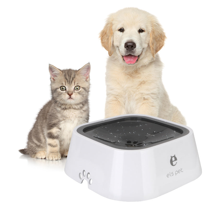Dog and cat sitting next to a white pet water bowl on a white background