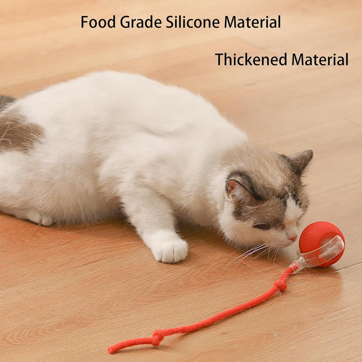 Cat playing with a red toy on a wooden floor, with text about food grade silicone material.
