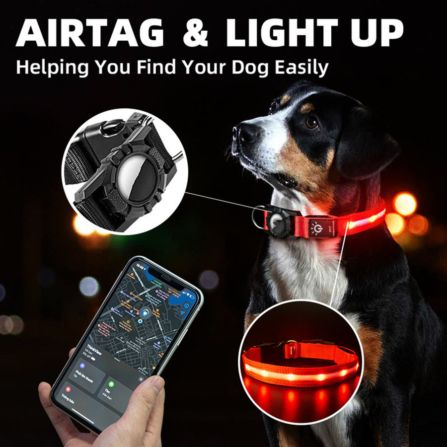 A dog collar with LED lights in various colors attached to it, shown on a dog and a smartphone app interface for tracking.