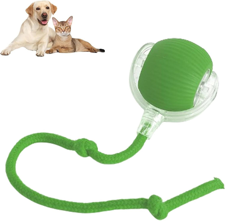 Green pet toy with a rope and ball, featuring two pets on a white background