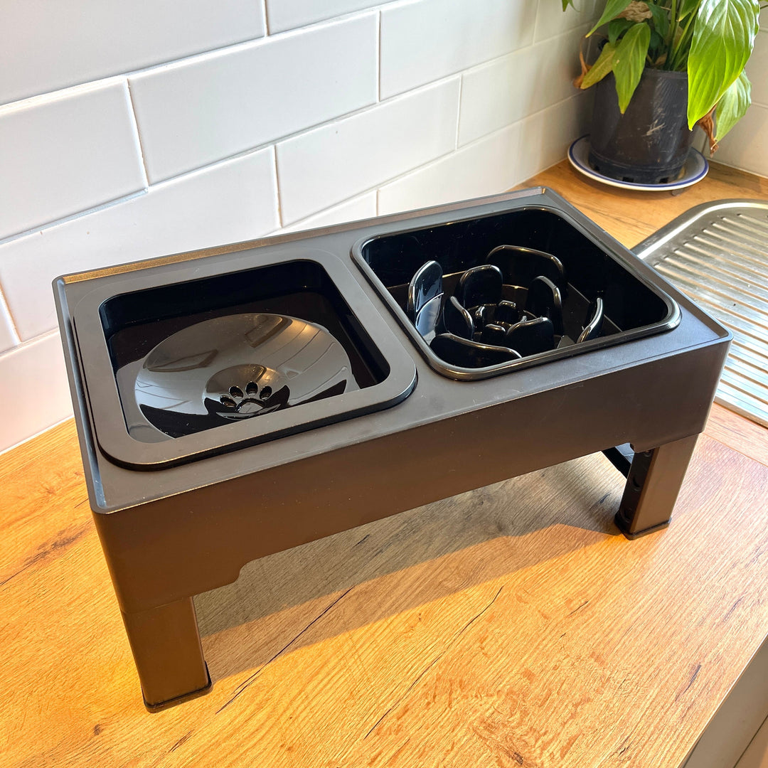 A black, elevated, round dog water bowl with a stainless steel insert, placed on a wooden surface with a white tiled wall in the background.