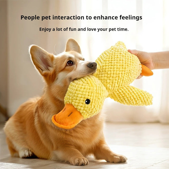 Dog playing with a yellow duck toy held by a hand, with text about pet interaction.