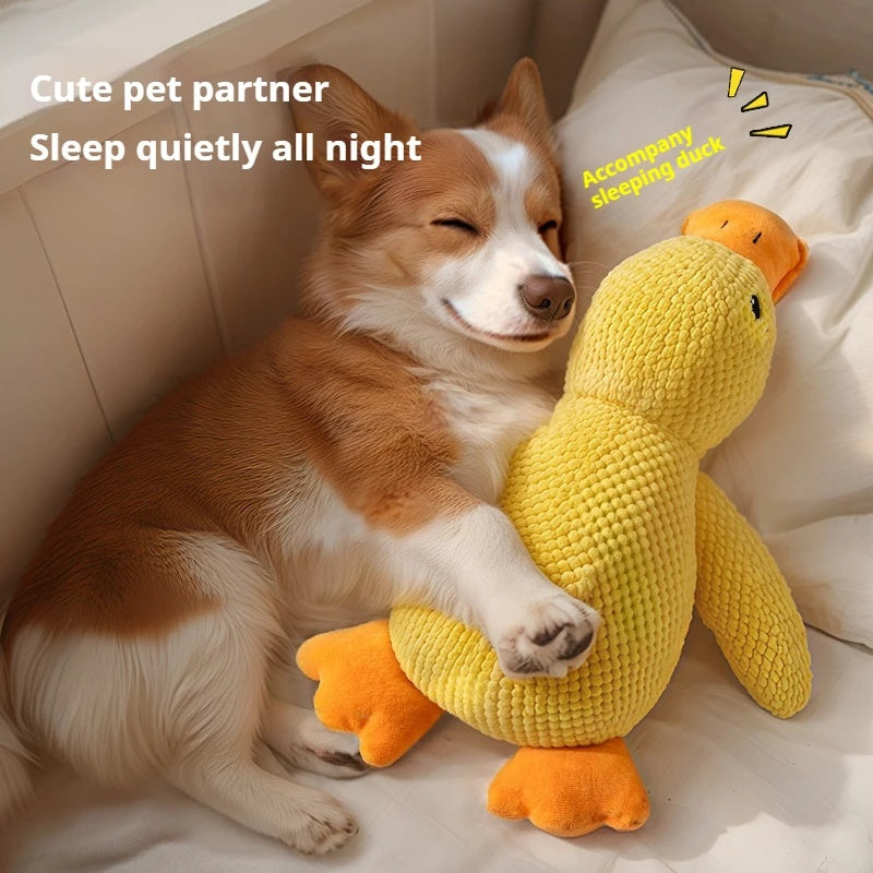 Dog lying on a bed with a yellow duck-shaped toy, accompanied by text about a 'cute pet partner' and 'sleep quietly all night'.