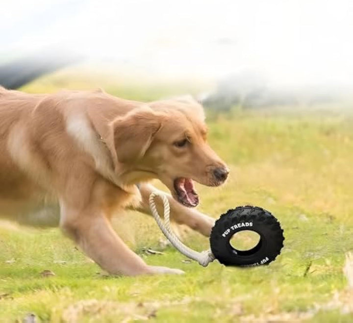 Dog playing with a black and white rope toy in a grassy field