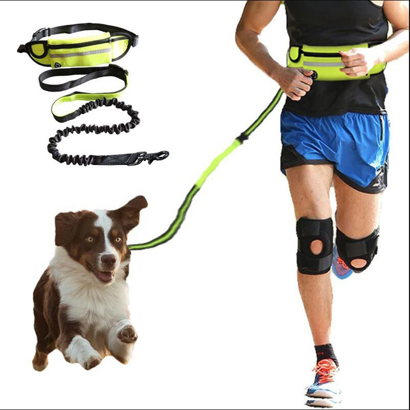 Person running with a dog on a leash, wearing a reflective waist bag and knee brace.